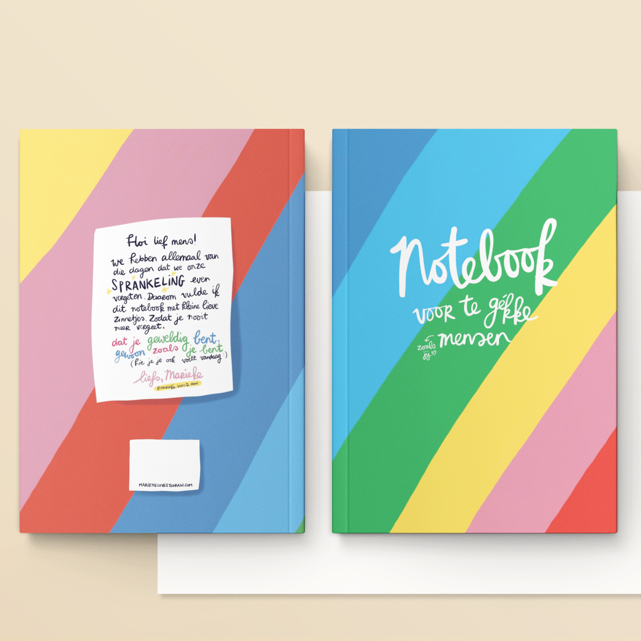 🌈 Notebook 'voor te gekke mensen'