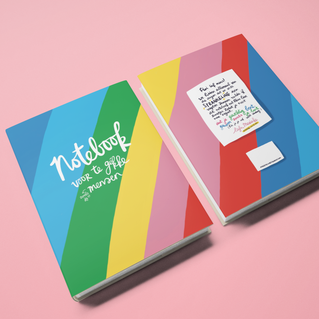 🌈 Notebook 'voor te gekke mensen'