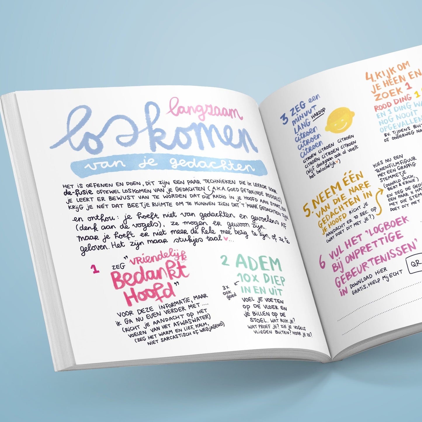 Pre-order | Het Belachelijk Fijne Boek voor Bange Dagen