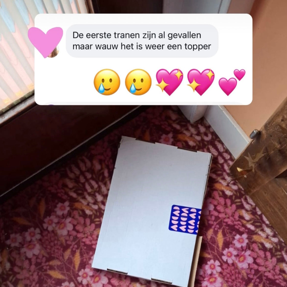 🩷 Het Belachelijk Fijne Boek voor Bange Dagen