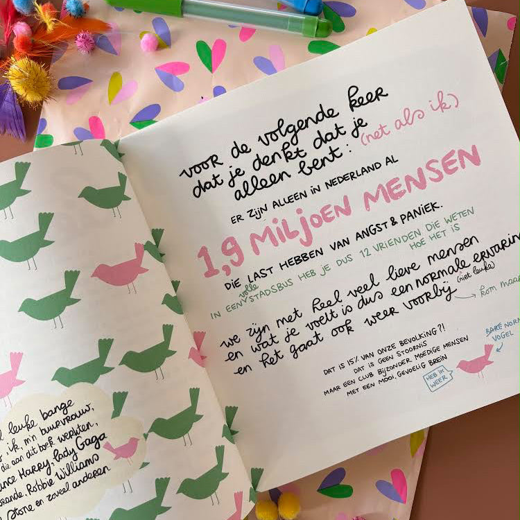 Pre-order Feest 🩷  | Het Belachelijk fijne Boek voor Bange Dagen