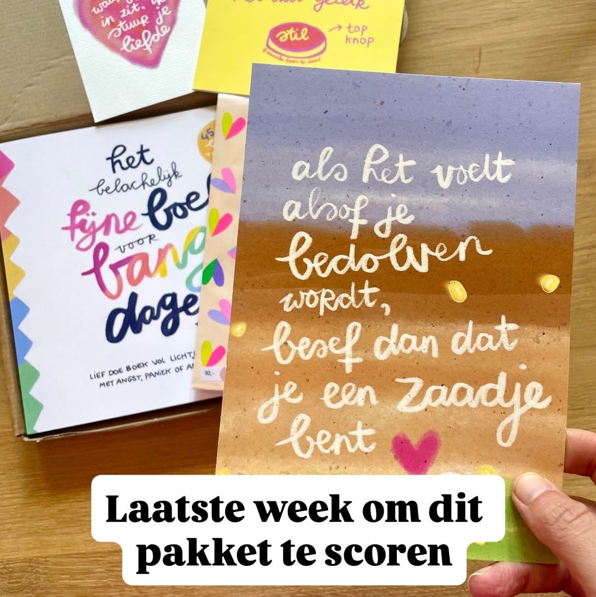 Pre-order Feest 🩷  | Het Belachelijk fijne Boek voor Bange Dagen