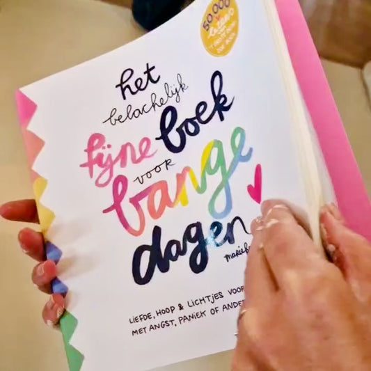Pre-order Feest 🩷 | Het Belachelijk fijne Boek voor Bange Dagen